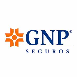 GNP Seguros [BMV: GNP] | Insurance Business Review | Workers Compensation Insurance Service