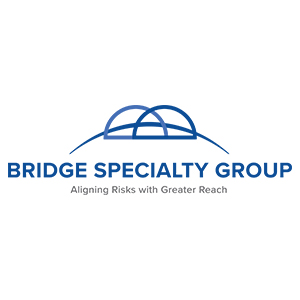 Bridge Specialty Group | Insurance Business Review | Top Insurance Wholesaler Services Provider