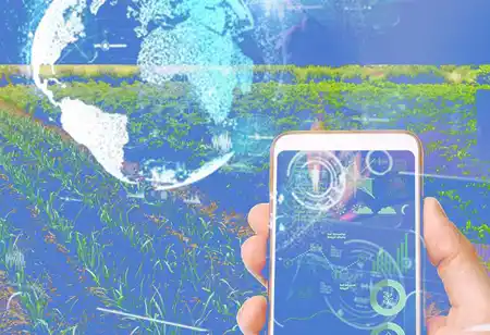 The Value of a Software-Based Insurance Agency Management System