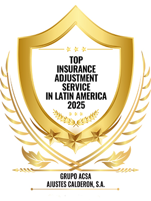 Top Insurance Adjustment Service in Latin America 2025