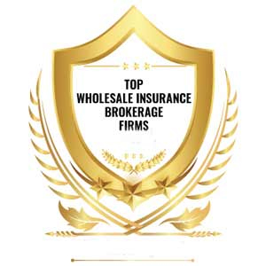 Top Wholesale Insurance Brokerage Firms