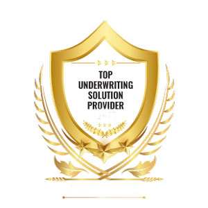 Top Underwriting Solution Providers